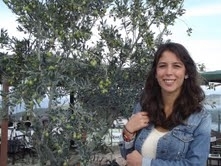 "9. AYVALIK ZEYTİN HASAT GÜNLERİ START ALIYOR"