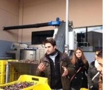 AYVALIK TARIM İLÇE MÜDÜRLÜĞÜNDEN ÜNİVERSİTELİ GENÇLERE ZEYTİN EĞİTİMİ