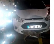 ARACA TİLKİ SIKIŞTI