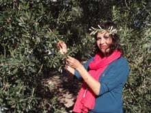 AK PARTİLİ VEKİLDEN ZEYTİNYAĞINA KAMU SPOTU GİRİŞİMİ