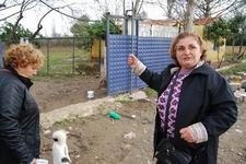 SELDE CAN PAZARI