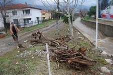 EDREMİT'TE SEL HAYVANLARIDA TELEF ETTİ