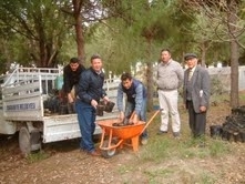 ÜRETİLEN MEŞE FİDANLARI OKUL BAHÇELERİNE DİKİLİYOR