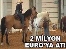 2 milyon Euro'ya at!