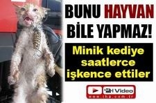 Minik kediye saatlerce işkence ettiler