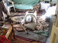 YAŞLI KADIN ACI DRAMI