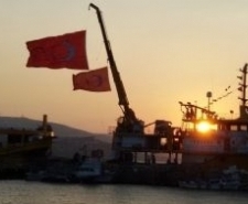Balıkçının darbe tepkisi