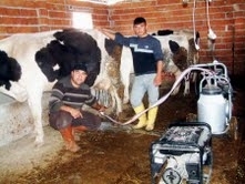 BURHANİYE’DE SÜT ÜRETİCİLERİNE MAKİNE KOLAYLIĞI
