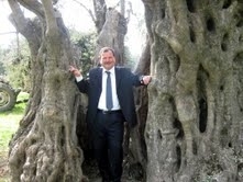 500 YILLIK ZEYTİN AĞACI ŞAŞIRTIYOR