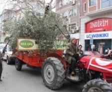 ZEYTİN HASAT SONU ŞENLİKLERİ YAPILDI