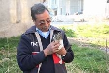 BURHANİYE’DE İTFAİYE’DEN KEDİ KURTARMA OPERASYONU