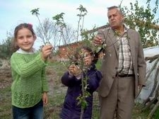 BALIKESİR’DE ERİK AĞACI ÇİÇEK AÇTI