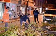 KAMYONET AĞACI GÖVDESİNDEN KOPARDI