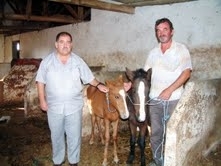 HAYVANLAR İÇİN HAPİSHANE KURDULAR