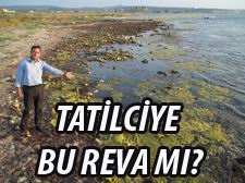 GÖMEÇ'E DERE ISLAHI ,SAHİLE 2 KÖPRÜ, DENİZ TEMİZLİĞİ