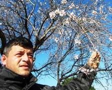 HAVRAN’DA BADEMLER ÇİÇEK AÇTI