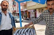 EDREMİTLİ BALIKÇILARIN YÜZÜ PALAMUTLA GÜLÜYOR