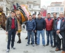 BURHANİYE'DE GÜREŞ DEVELERİ GÖRÜCÜYE ÇIKTI