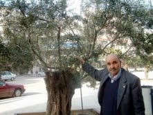 AYVALIK VEREM SAVAŞ DİSPANSERİ KAPATILDI