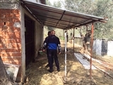EDREMİT'TE YERLEŞİM YERİ İÇİNDEKİ HAYVAN DAMLARI YIKILIYOR