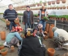 BURHANİYE’ DE ÇİÇEK SERALARI İŞ KAPISI OLDU