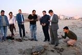 NAYLON POŞETİ DENİZANASI SANIP YİYEN CARETTA CARETTA PLAJA VURDU