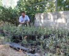 KÜÇÜK BİR KIZIN HAYALLERİ TUVALE YANSIDI