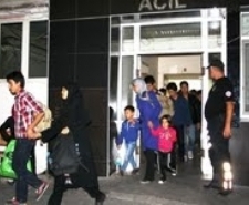 AYVALIKTA 16 KAÇAK GÖÇMEN ZEYTİNLİKTE YAKALANDI