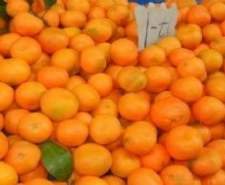 Mandalina üreticileri dert küpü
