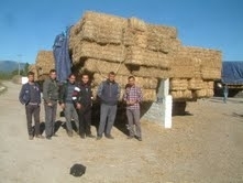 HAVRAN’DA SAMAN PAZARI KURULDU