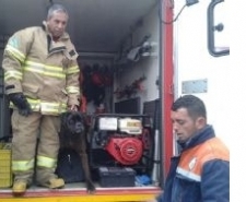 BURHANİYE’DE MAHSUR KALAN KÖPEGİ İTFAİYE EKİPLERİ KURTARDI