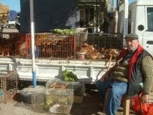 PAZARDA TAVUK SATARAK GEÇİM SAĞLIYOR