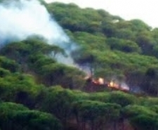 PİKNİKÇİLER YANGIN ÇIKARDI
