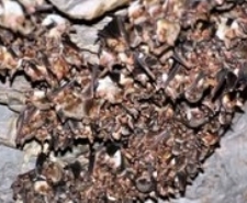 YARASALARI UZMANLAR, 6 YILDIR İZLİYOR