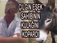 HIRÇIN EŞEK !!!!!!