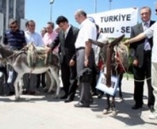 SENDİKADAN EŞEKLİ EYLEM