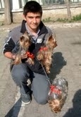 KÖPEKLERE BÜYÜK İLGİ