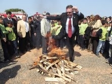 COŞKULU NEVRUZ