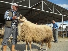 AYVALIKGÜCÜ HAZIRLIK MAÇINDA İZMİRSPOR’U AĞIRLADI