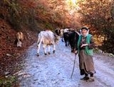 YURDUM KADINI KONULU FOTOĞRAF YARIŞMASI SONUÇLANDI