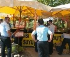 ANAYOL ÜZERİNDEKİ KARADUT SATICILARINA ZABITA OPERASYONU