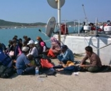 AYVALIK’TA 71 KAÇAK KISKIVRAK YAKALANDI