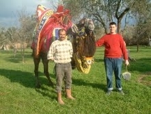 BURHANİYE’DE ŞAMPİYON DEVELER İTİBAR GÖRÜYOR