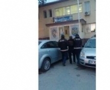 Edremit’te bonzai operasyonu: 3 tutuklama