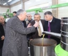 Vali Yazıcı zeytinyağı fabrikasını ziyaret etti