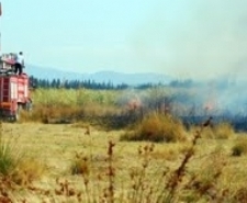 EDREMİT’TE SAZLIK YANGINI