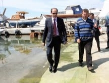 SAHİLE VURAN BALIK YUMURTALARI ŞAŞIRTTI