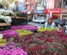 HER MEVSİM YEŞİL EDREMİT