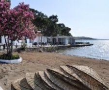 AYVALIK BELEDİYE BAŞKANVEKİLİ SARAÇOĞLU ÇALIŞMALARI İNCELEDİ