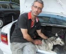 BURHANİYE’ DE KÖPEKLERİ ZEHİRLEDİLER